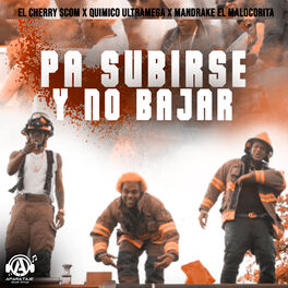 Album cover of Pa Subirse y No Bajar