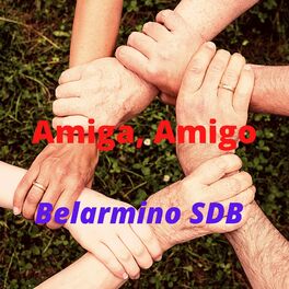Album cover of Amiga, Amigo