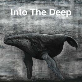 Album cover of Into The Deep (feat. Lanterns on the Lake) [Lanterns Radio Edit]