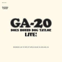 Album cover of Does Hound Dog Taylor Live! (Live)