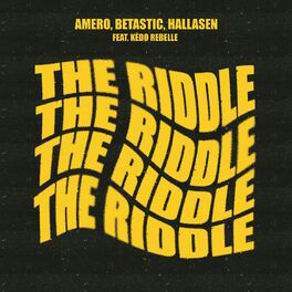 Album cover of The Riddle (feat. Kédo Rebelle)