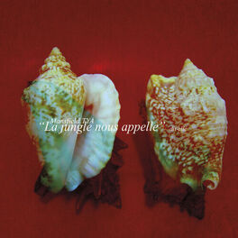 Album cover of 