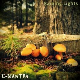 Album cover of Raining Lights