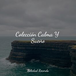 Album cover of Colección Calma Y Sueño