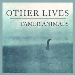 Album cover of Tamer Animals