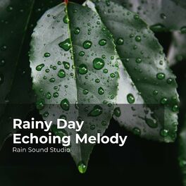 Album cover of Rainy Day Echoing Melody
