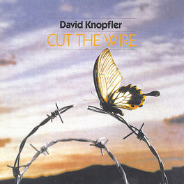 Album cover of Cut The Wire