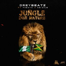 Album cover of Jungle Don Mature