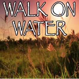 Album cover of Walk On Water - Tribute to Eminem and Beyonce