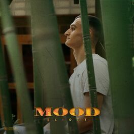 Album cover of MOOD