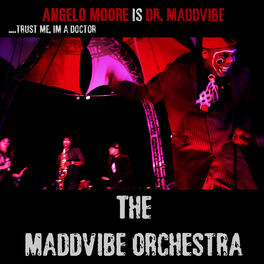 Album cover of The Maddvibe Orchestra