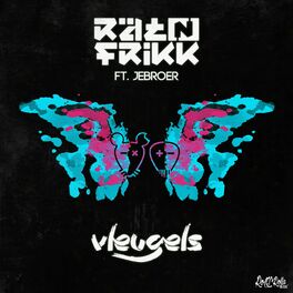Album cover of Vleugels