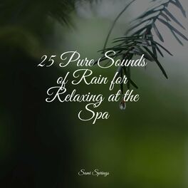 Album cover of 25 Pure Sounds of Rain for Relaxing at the Spa