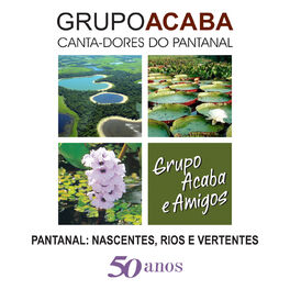 Album cover of Pantanal: Nascentes, Rios e Vertentes 50 Anos