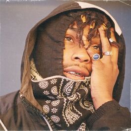 Album cover of Go