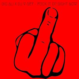 Album cover of Fuck It up Right Now