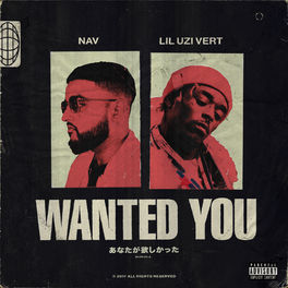 Album cover of Wanted You