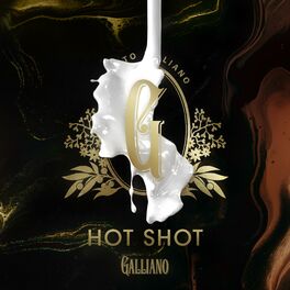 Album cover of Hot Shot