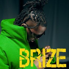 Album cover of Brize
