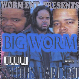 Album cover of South's Hardest
