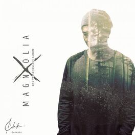 Album cover of Magnolia X