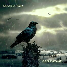 Album cover of Electric Arts (Regentanz)