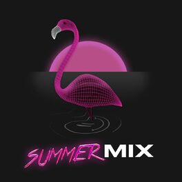 Album cover of Summer Mix 2022