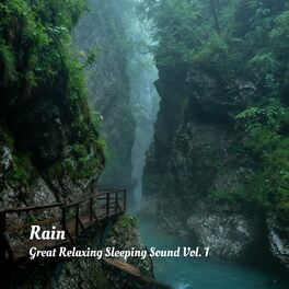 Album cover of Rain: Great Relaxing Sleeping Sound Vol. 1