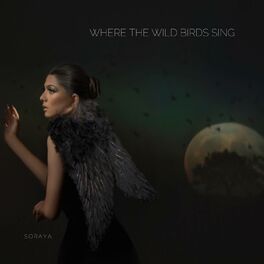 Album cover of where the wild birds sing
