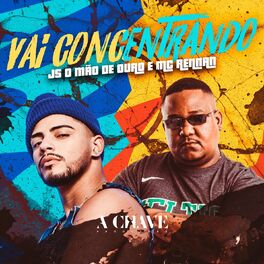 Album cover of Vai Concentrando
