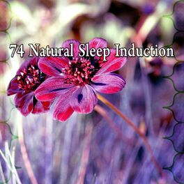 Album cover of 74 Natural Sleep Induction