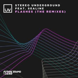Album cover of Flashes