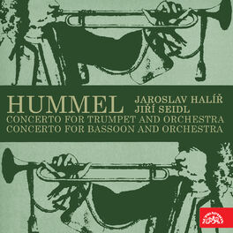 Album cover of Hummel: Concerto for Trumpet and Orchestra, Concerto for Bassoon and Orchestra