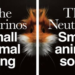 Album cover of Small Animal Song