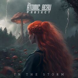 Album cover of IN THE STORM