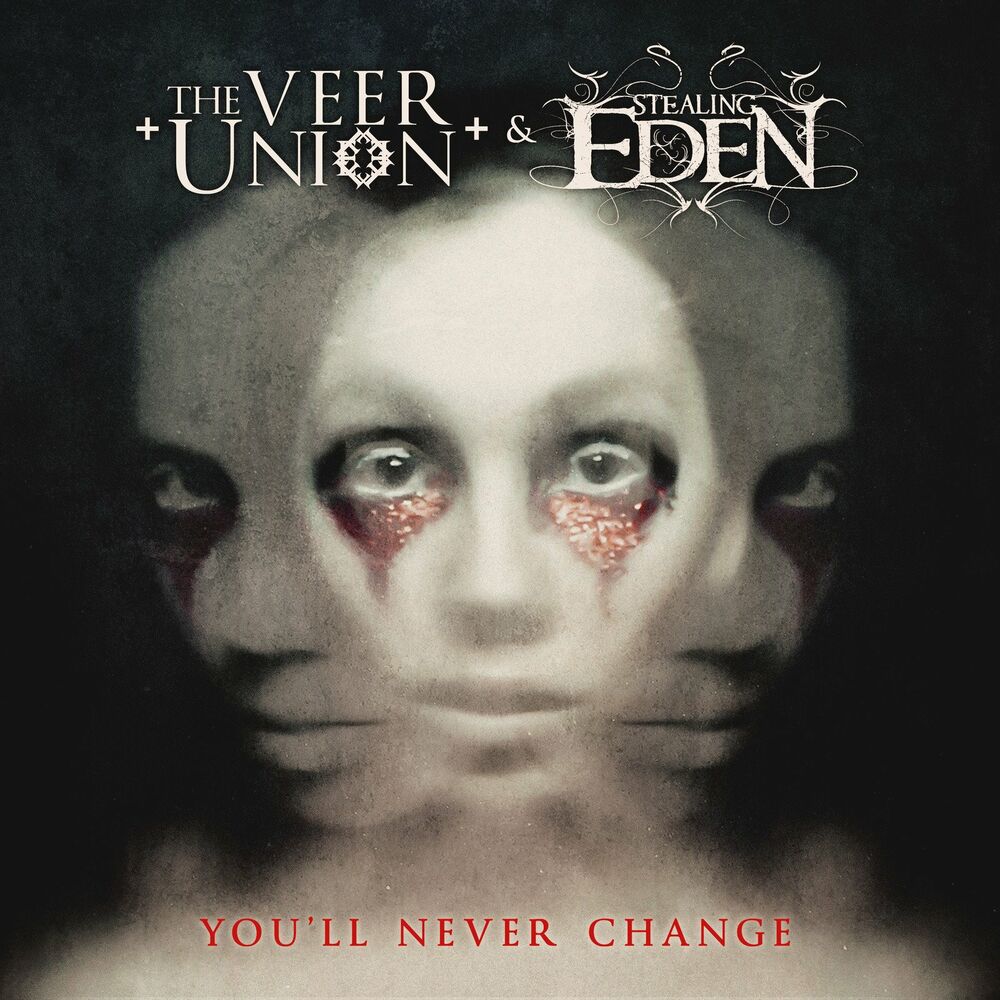 The veer union. Stealing Eden группа. The Veer Union фото. Nightmare the Veer Union. The Veer Union i m sorry.