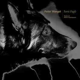 Album cover of Sorte Fugle (Søren Vestergaard Remix)