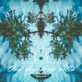 Album cover of One Day Three Falls (Digifyin Remix)