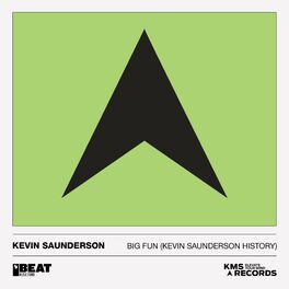Album cover of Big Fun (Kevin Saunderson History)