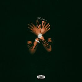 Album cover of FALLEN RAVEN