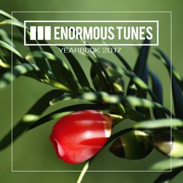Album cover of Enormous Tunes - Yearbook 2017