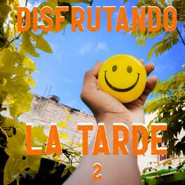Album cover of Disfrutando La Tarde Vol. 2