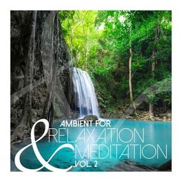 Album cover of Ambient for Relaxation & Meditation, Vol. 2