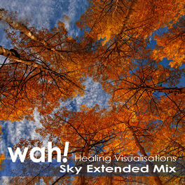 Album cover of Sky Extended Mix