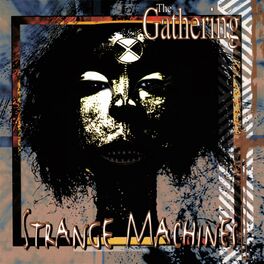 Album cover of Strange Machines