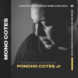 Album cover of Homenaje a la Música de 
