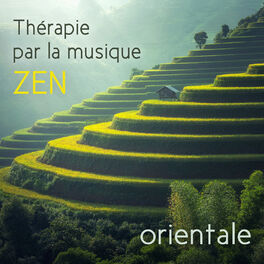 Album cover of Thérapie par la musique zen orientale - Troubles du sommeil, Stress, Nervosité, Le pleur de bébé: Musicothérapie, Méditation guidé