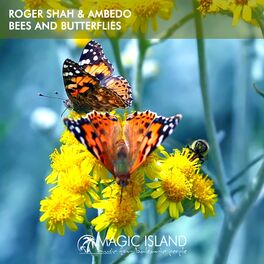 Album cover of Bees and Butterflies