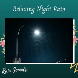 Album cover of Rain Sounds: Relaxing Night Rain