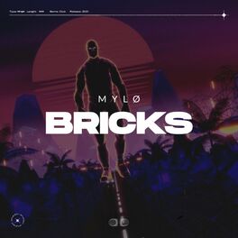 Album cover of Bricks